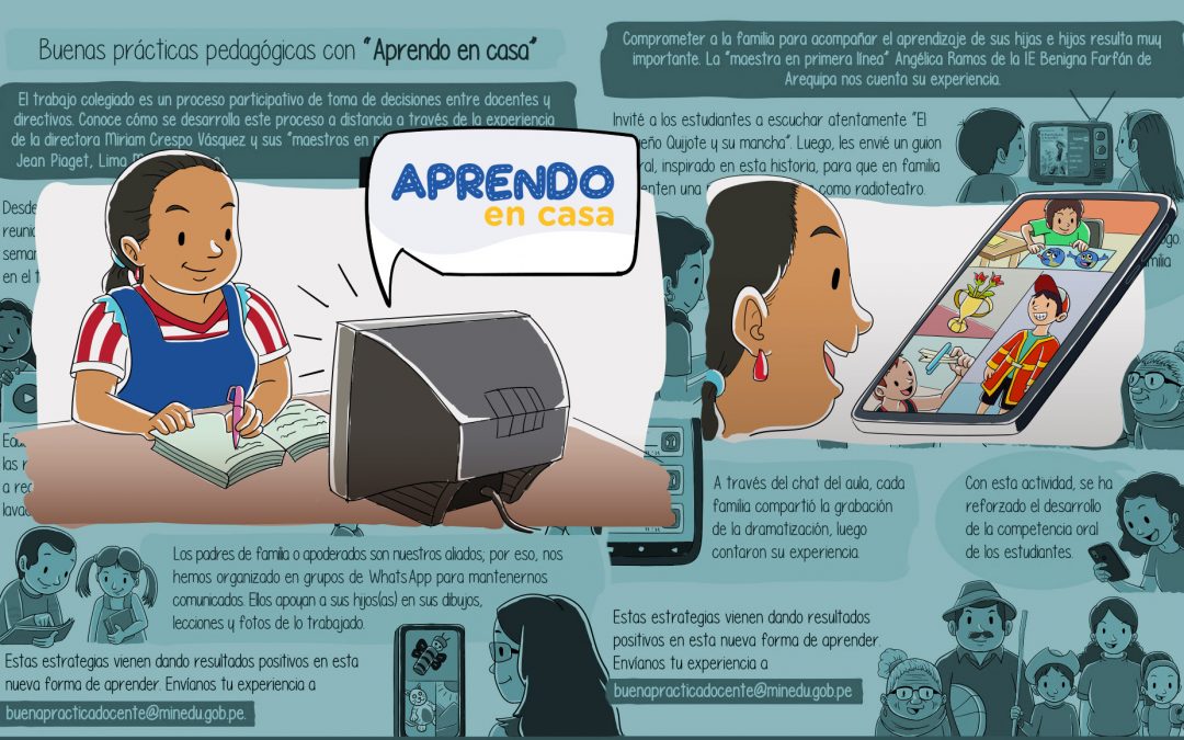 Infografías de experiencias docentes en la educación a distancia