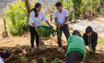 Agricultura ecológica: huertos escolares en I. E. San José – Maraypampa