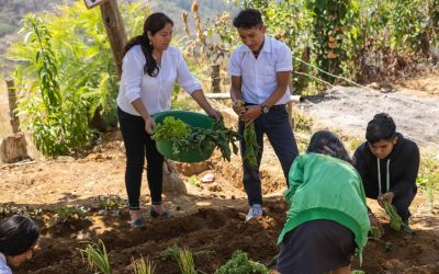 Agricultura ecológica: huertos escolares en I. E. San José – Maraypampa