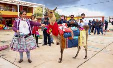 Platero y Pituca: Los compañeros de cuatro patas que impulsan el aprendizaje