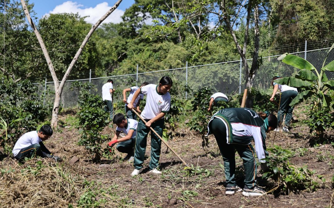 Educación que echa raíces: escolares de Cajamarca aprenden y emprenden desde la chacra