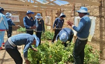 El aula viva: Invernadero y Etnobotánica como herramientas centrales para la indagación científica